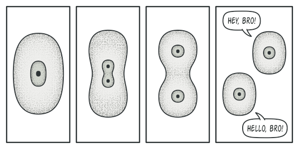 Pattern solution